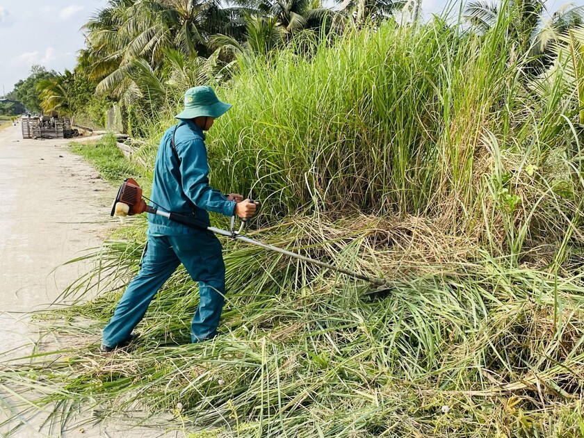 ĐTN trồng cây